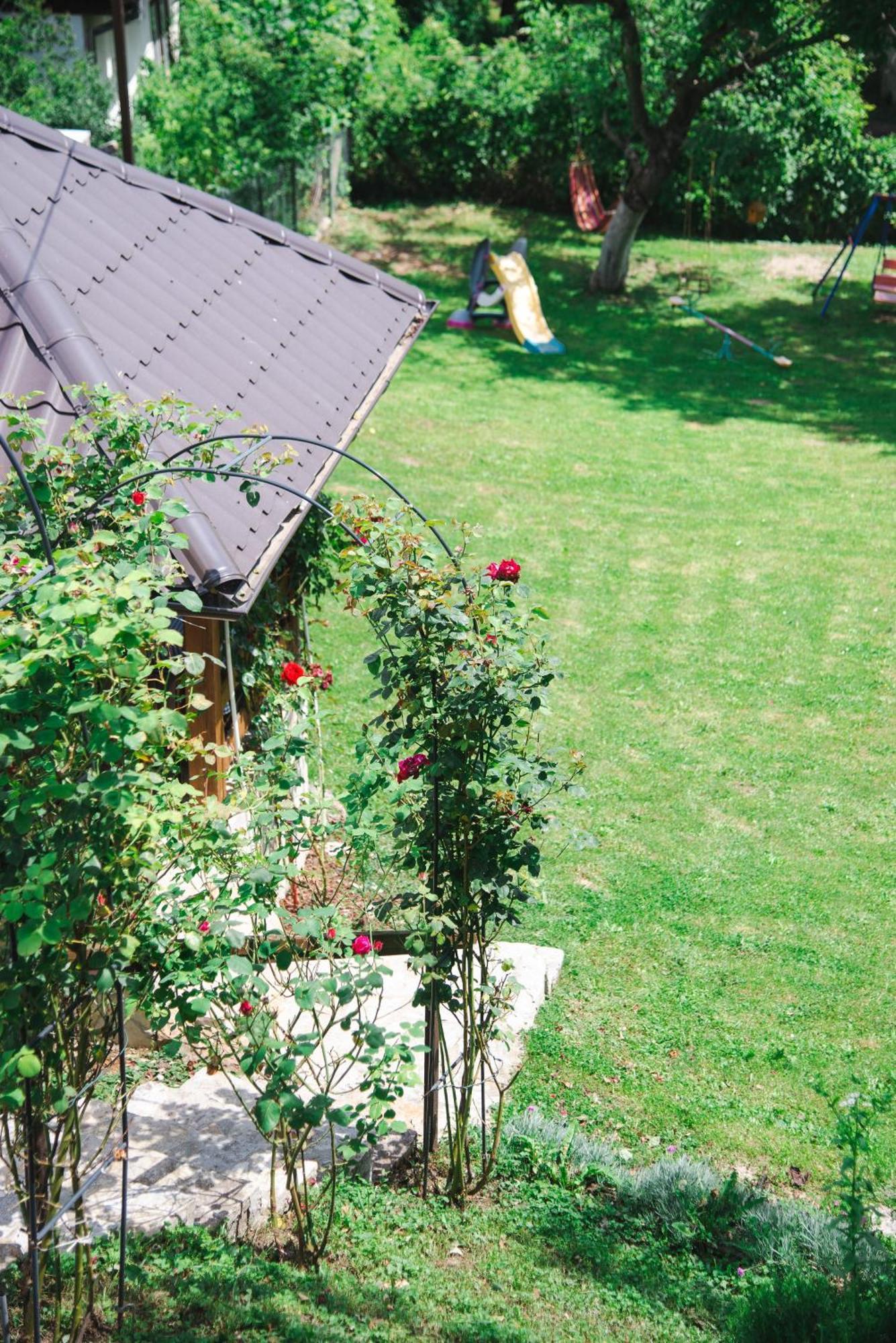 Apartmani Maslacak Vrdnik Exterior photo
