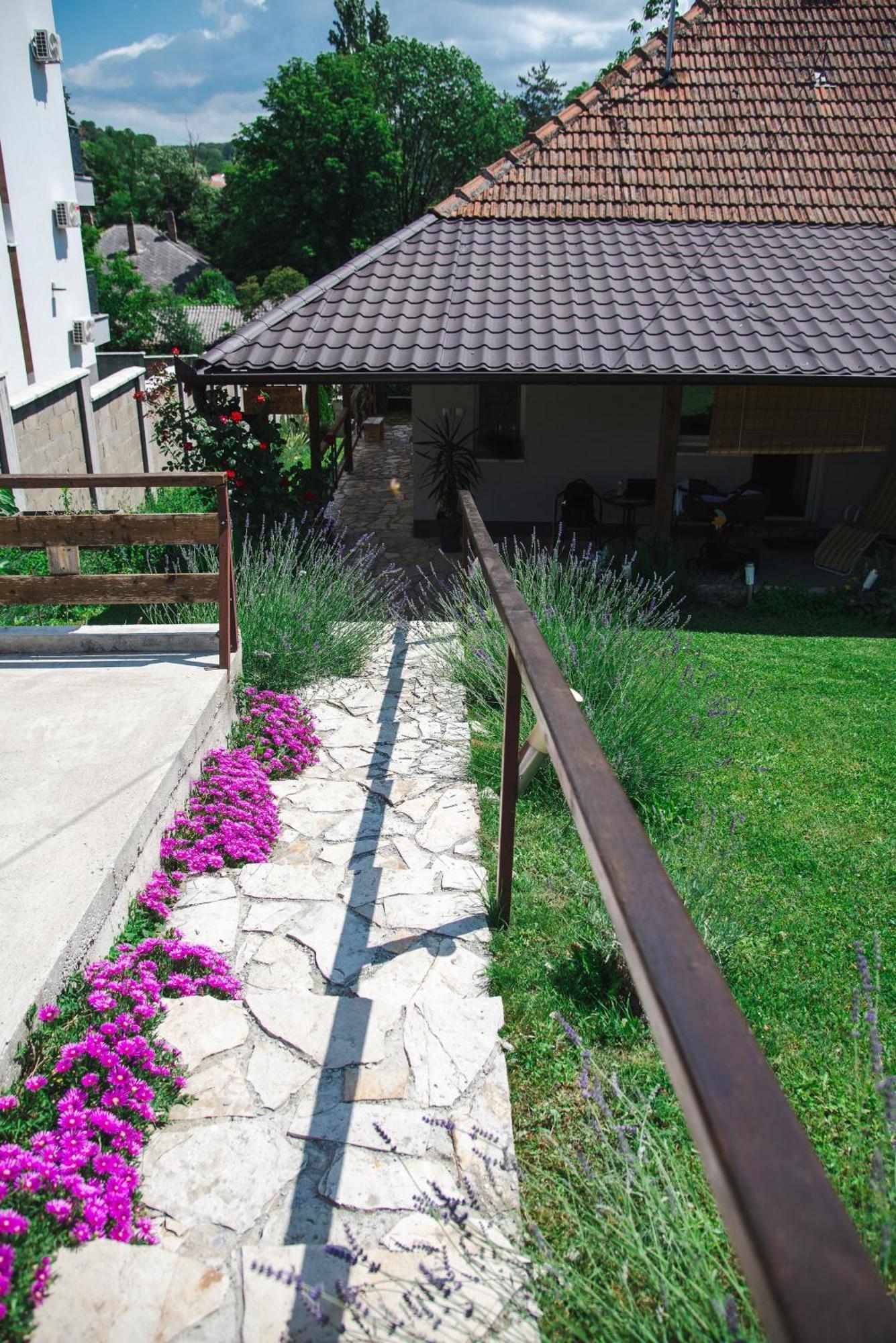 Apartmani Maslacak Vrdnik Exterior photo